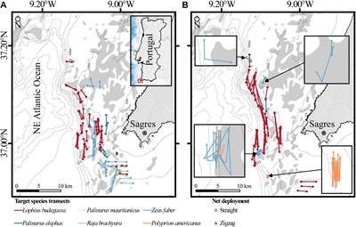 High Coral Bycatch in Bottom-Set Gillnet Coastal Fisheries Reveals Rich Coral Habitats in Southern Portugal